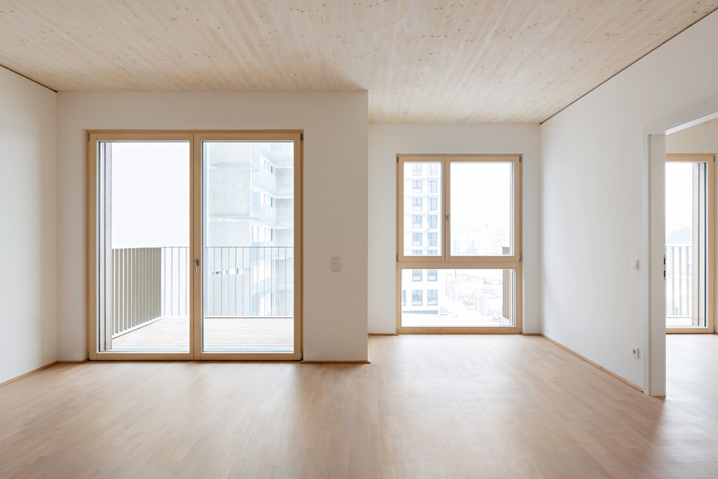 Ein Foto von Paul Sebesta