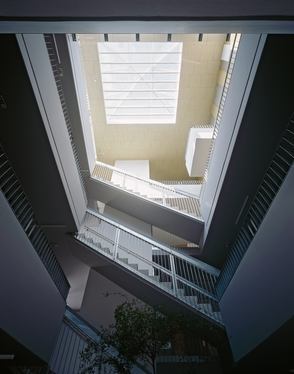 Ein Foto von Pez Hejduk