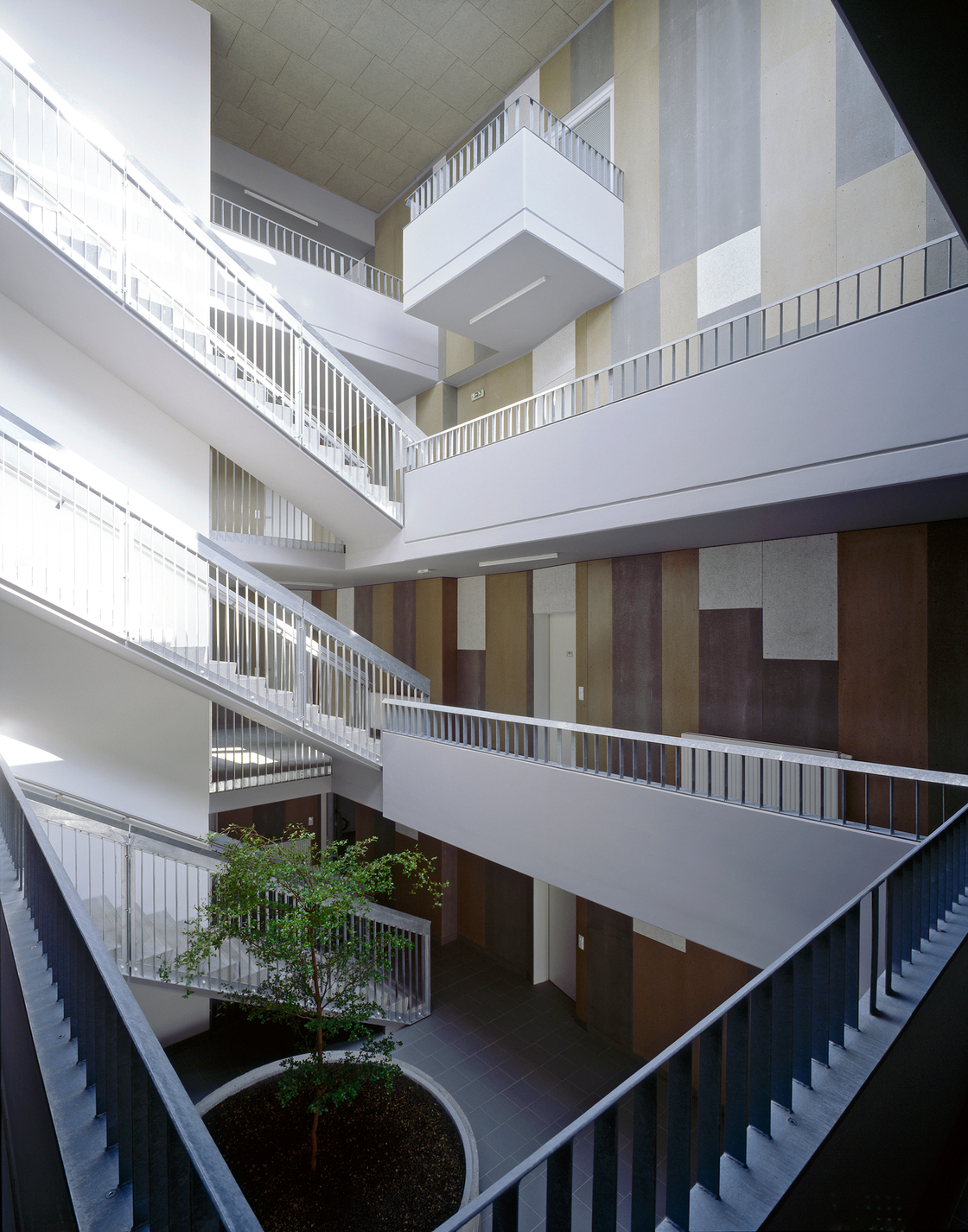 Ein Foto von Pez Hejduk