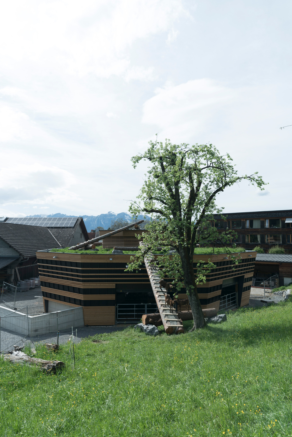 Ein Foto von Georg Alfare