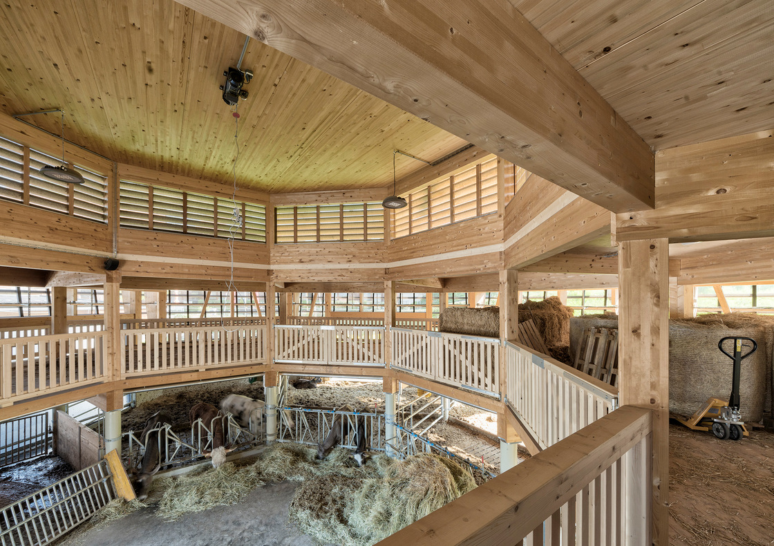 Ein Foto von Georg Alfare