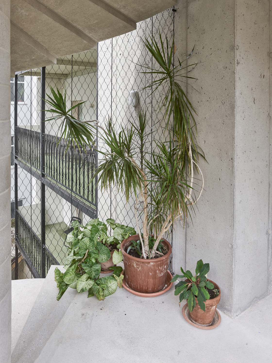 Ein Foto von Kurt Hörbst