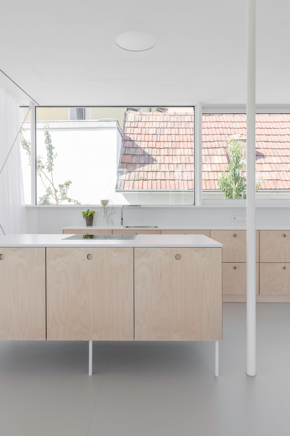 Ein Foto von Martin Weiß