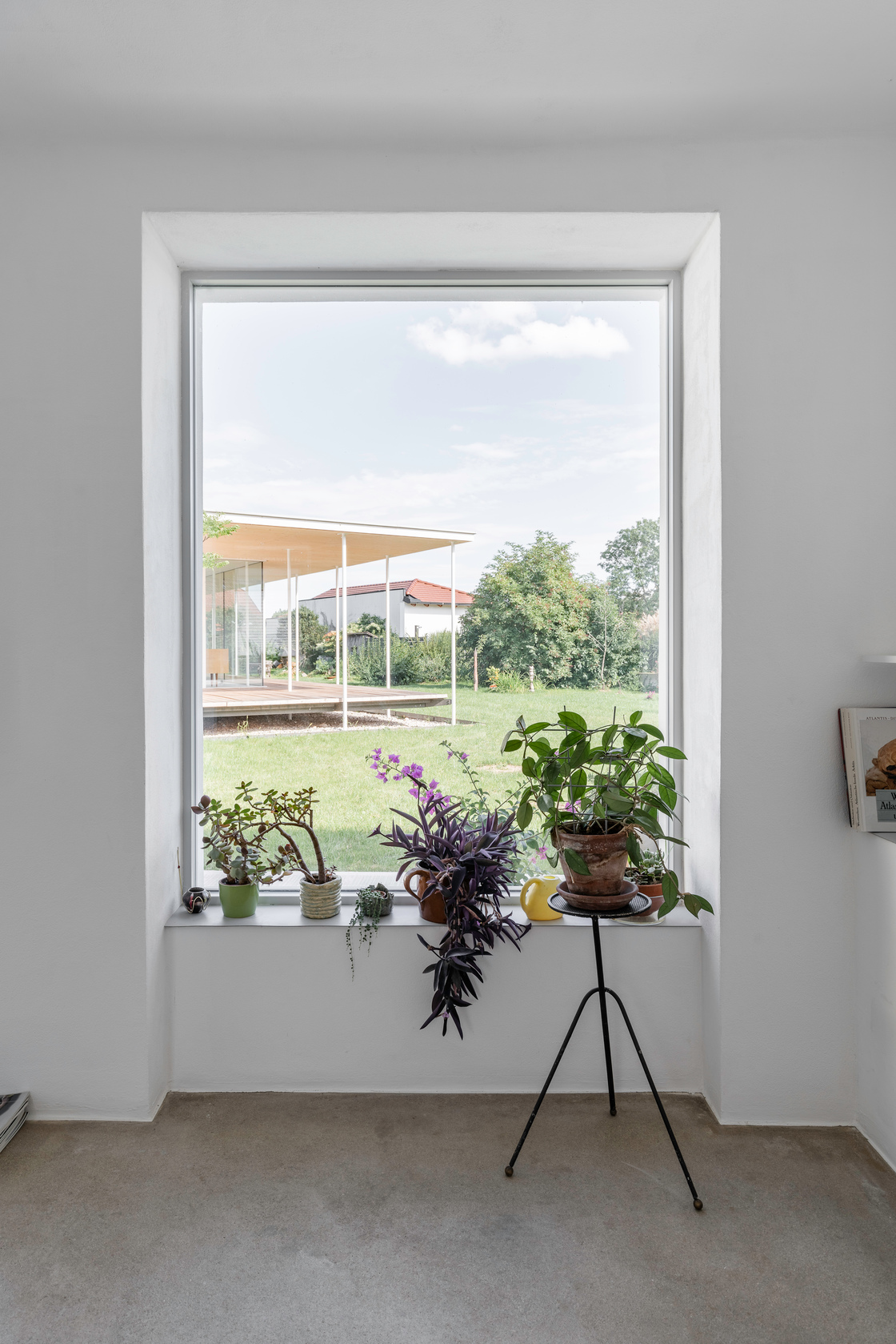 Ein Foto von Martin Weiß