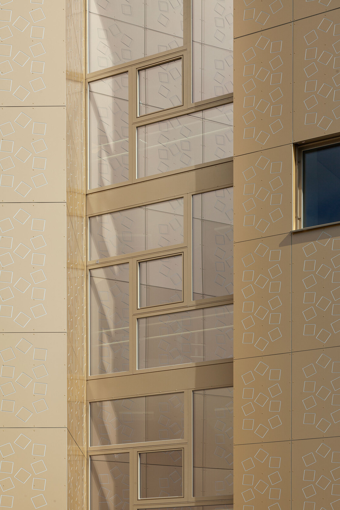 Ein Foto von Romana Fürnkranz