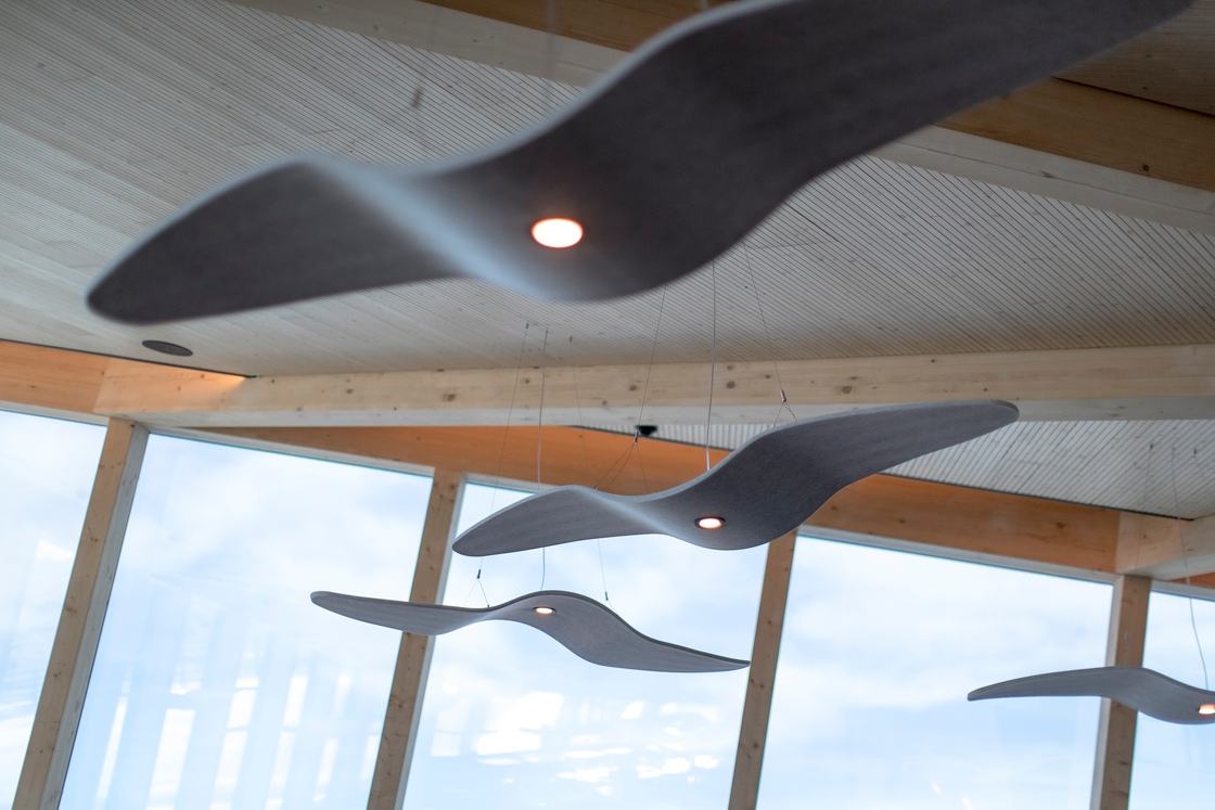 Ein Foto von Tom Lamm