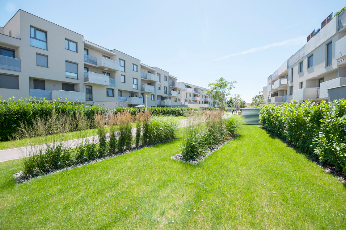 Ein Foto von zweischrittweiter.at