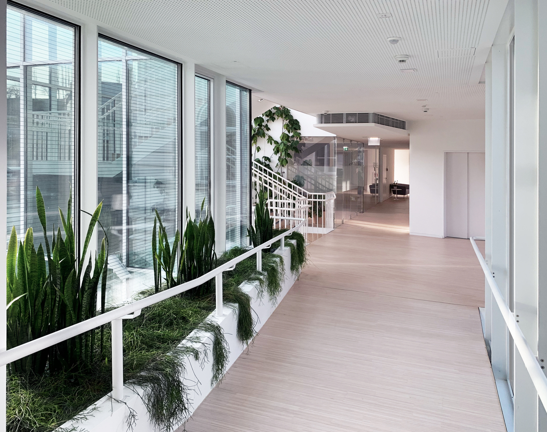 Ein Foto von BOA büro für offensive aleatorik