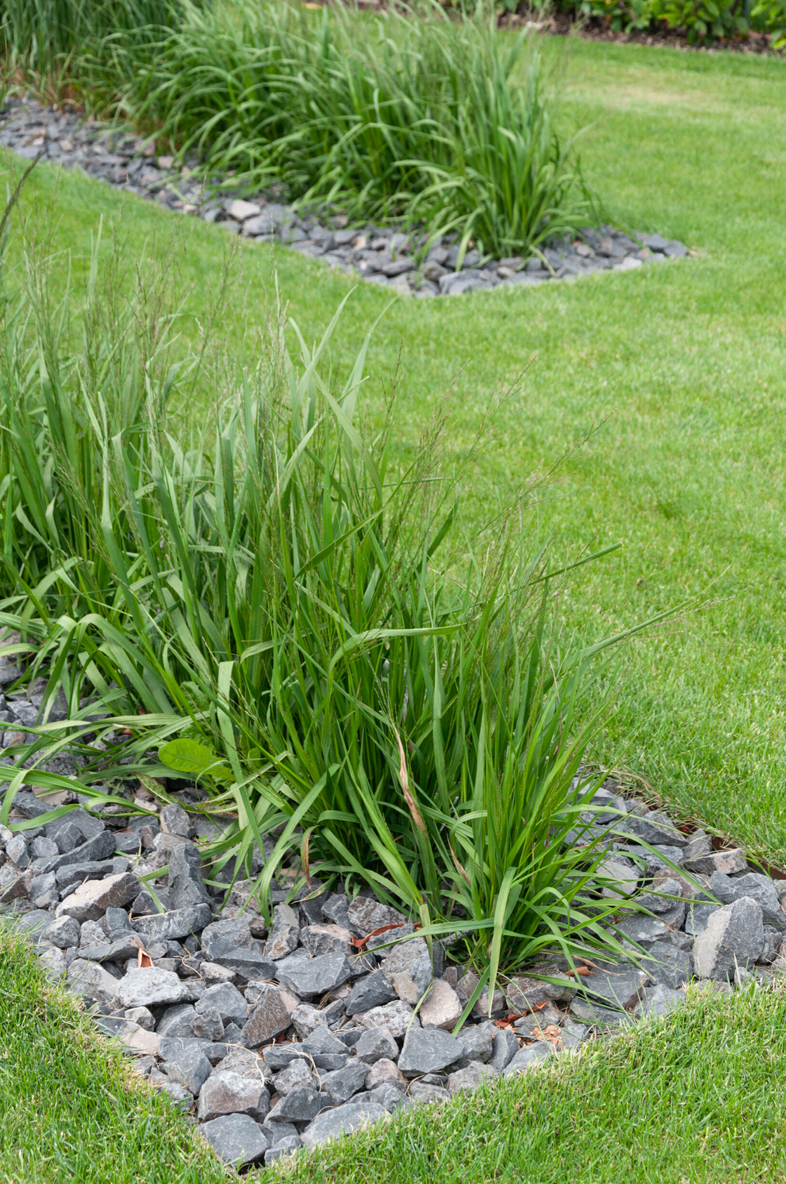 Ein Foto von Rainer Schoditsch