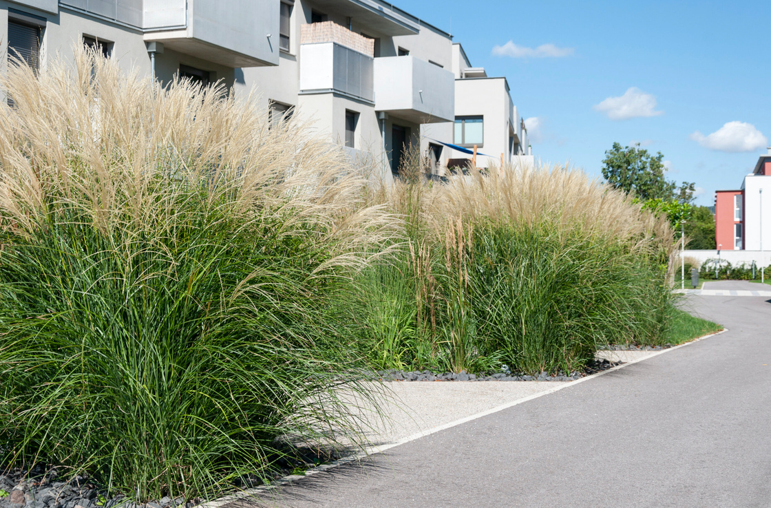 Ein Foto von Rainer Schoditsch