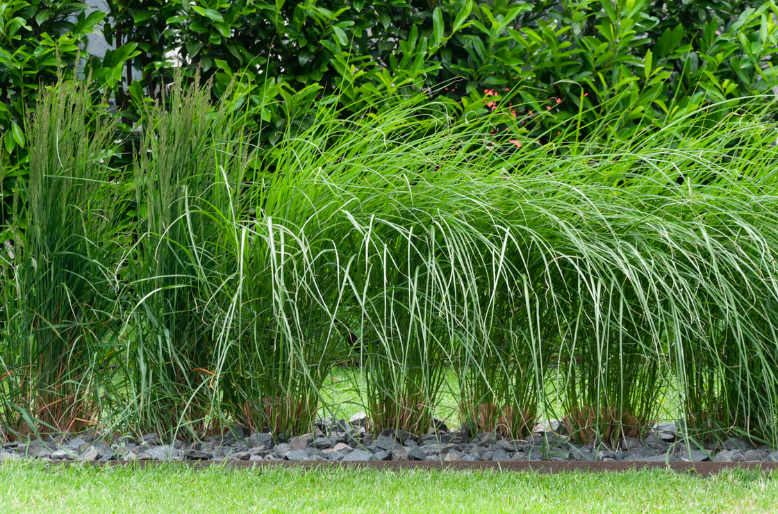 Ein Foto von Rainer Schoditsch