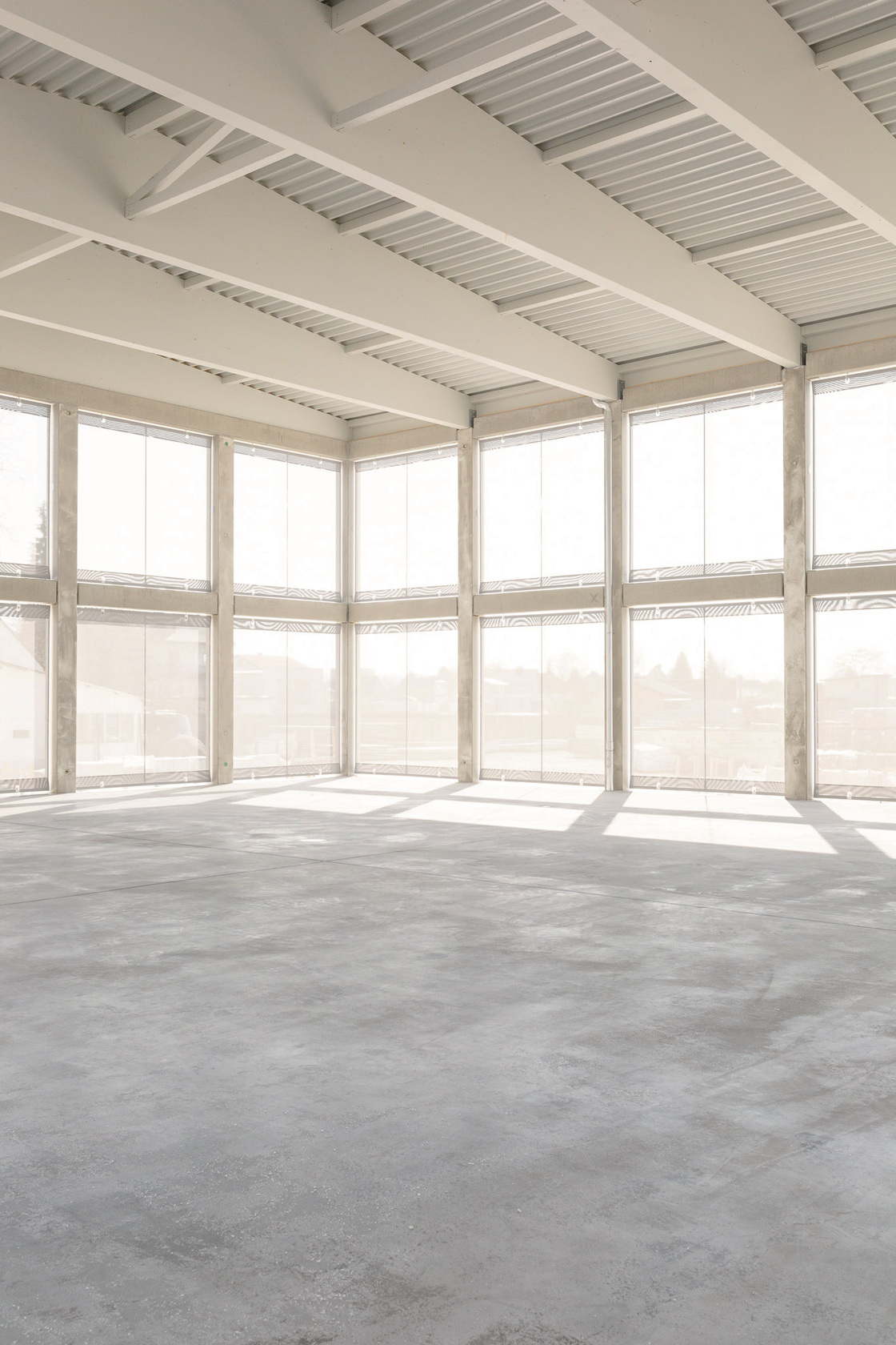 Ein Foto von Lilly Mörz