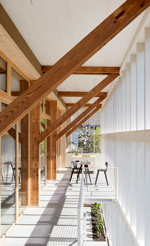 Ein Foto von Adolf Bereuter