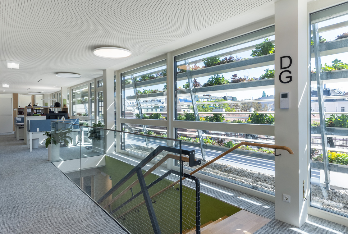 Ein Foto von Anna Stöcher