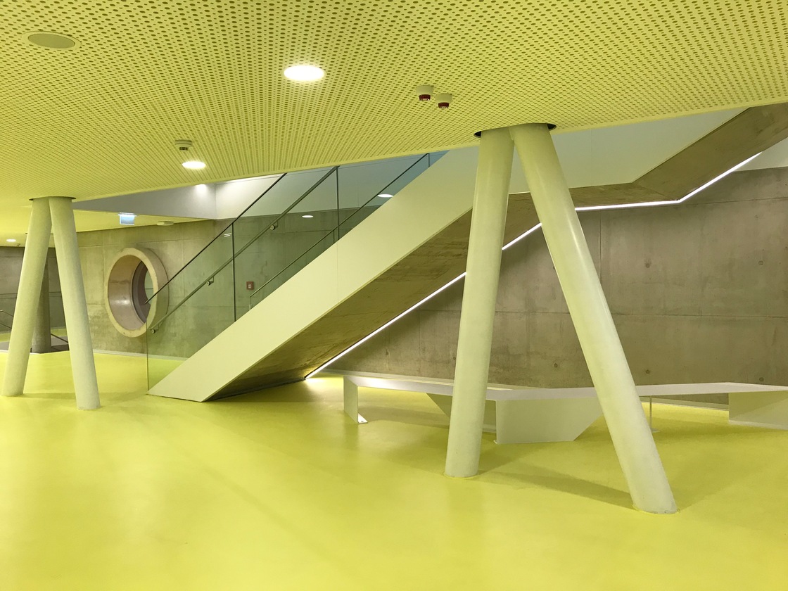 Ein Foto von Patricia Zacek-Stadler