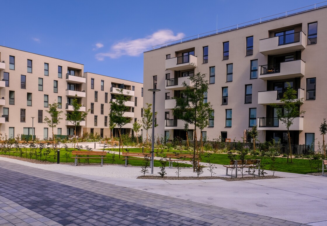 Ein Foto von Marion Müller