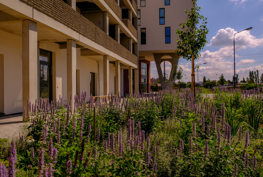 Ein Foto von Marion Müller