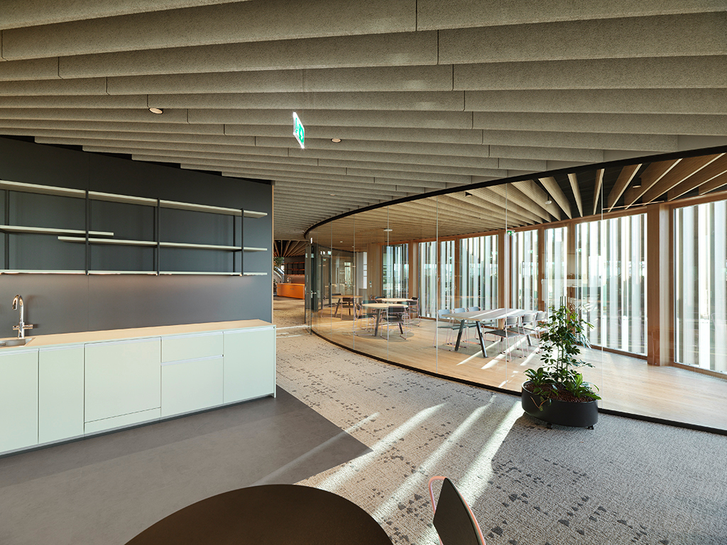 Ein Foto von Paul Ott