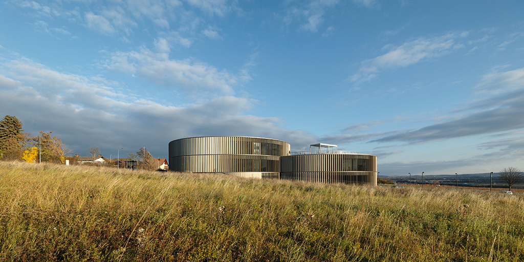 Ein Foto von Paul Ott