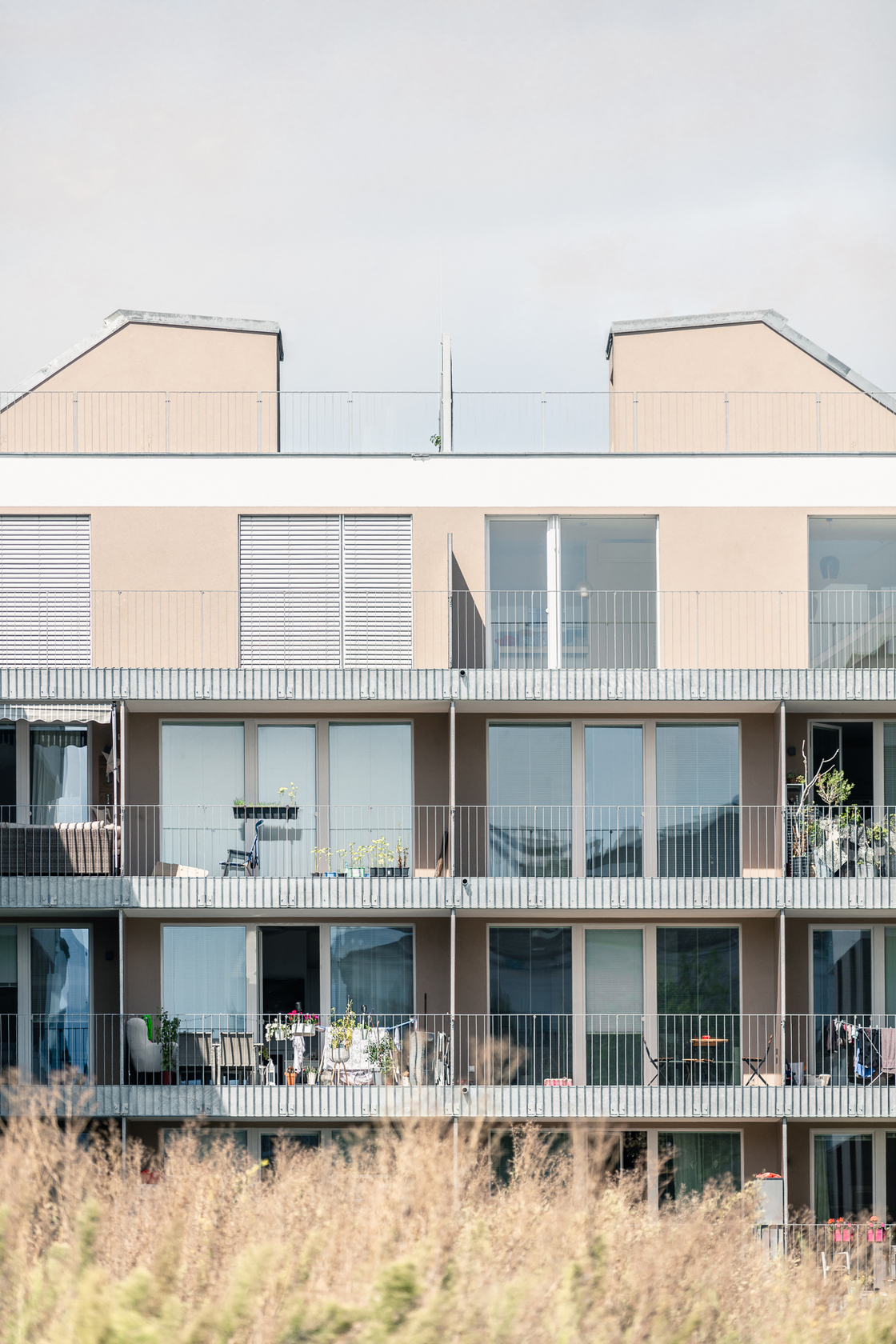 Ein Foto von tschinkersten