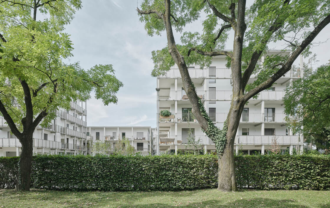 Ein Foto von David Schreyer