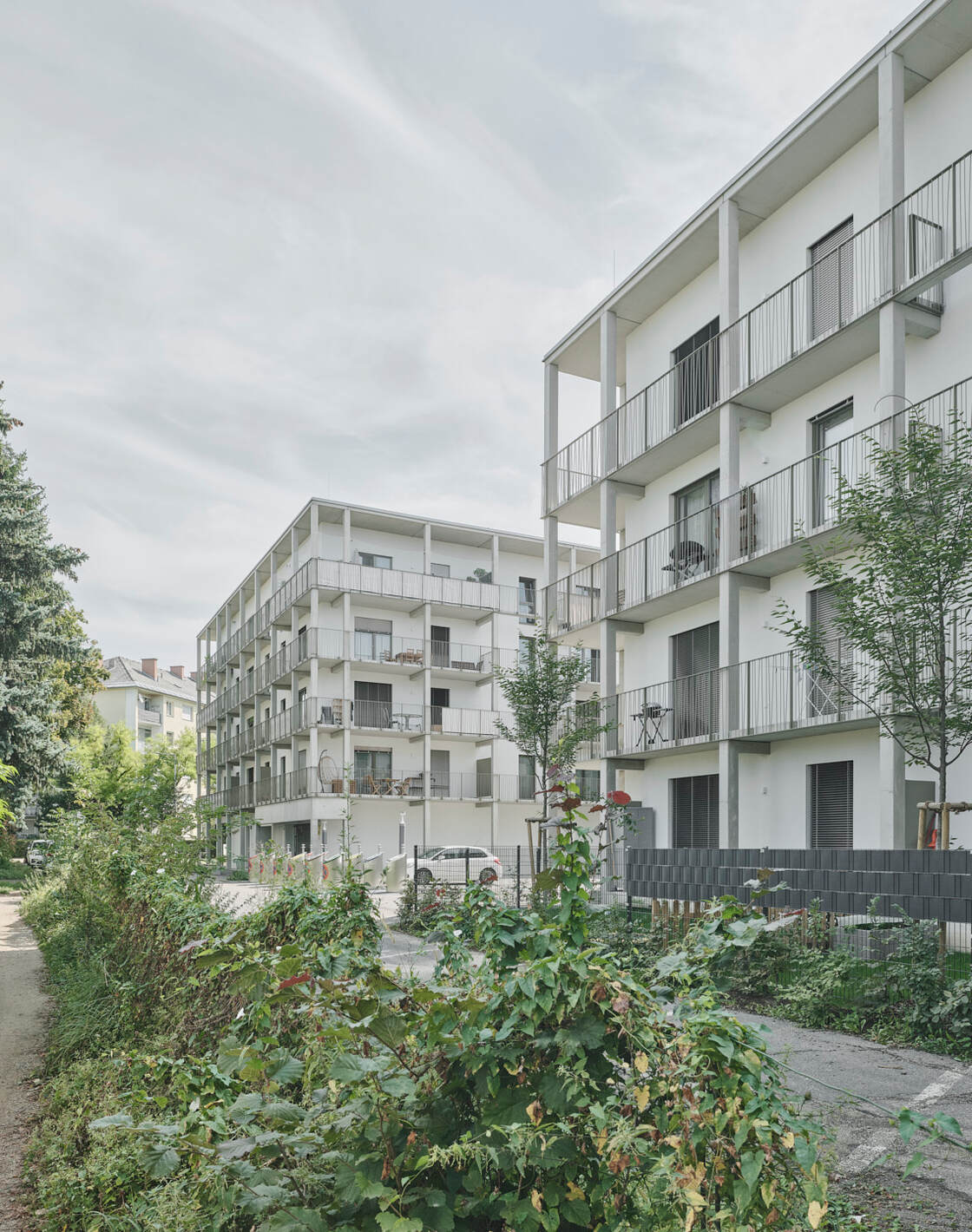 Ein Foto von David Schreyer