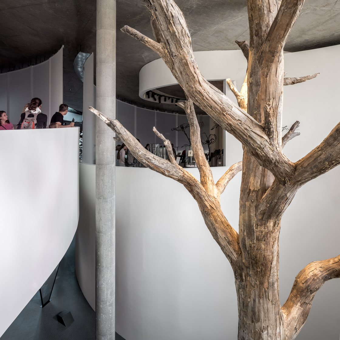 Ein Foto von Rasmus Hjortshøj