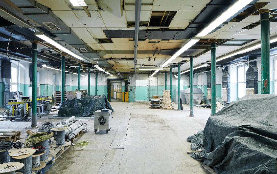 Ein Foto von David Schreyer