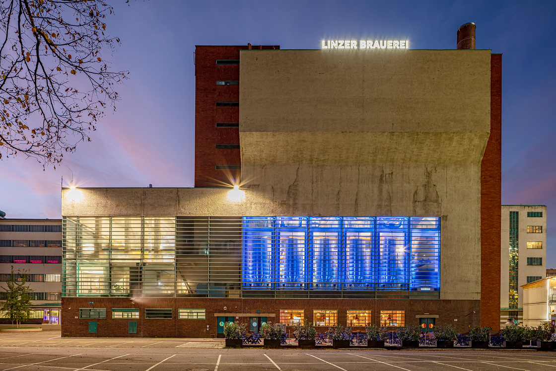 Ein Foto von Martin Steinkellner