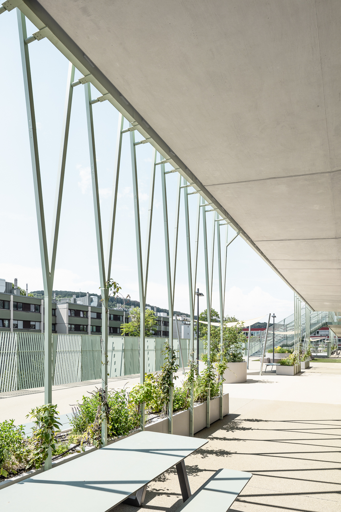 Ein Foto von tschinkersten