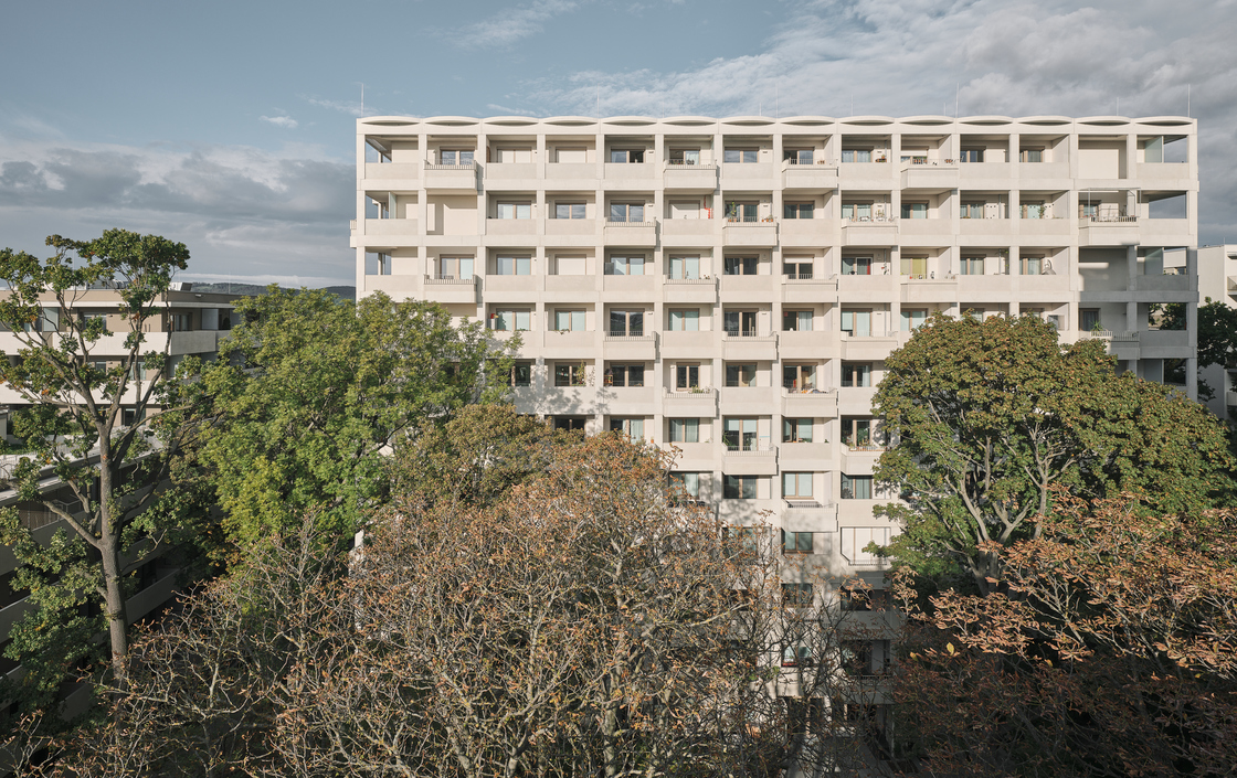 Ein Foto von David Schreyer