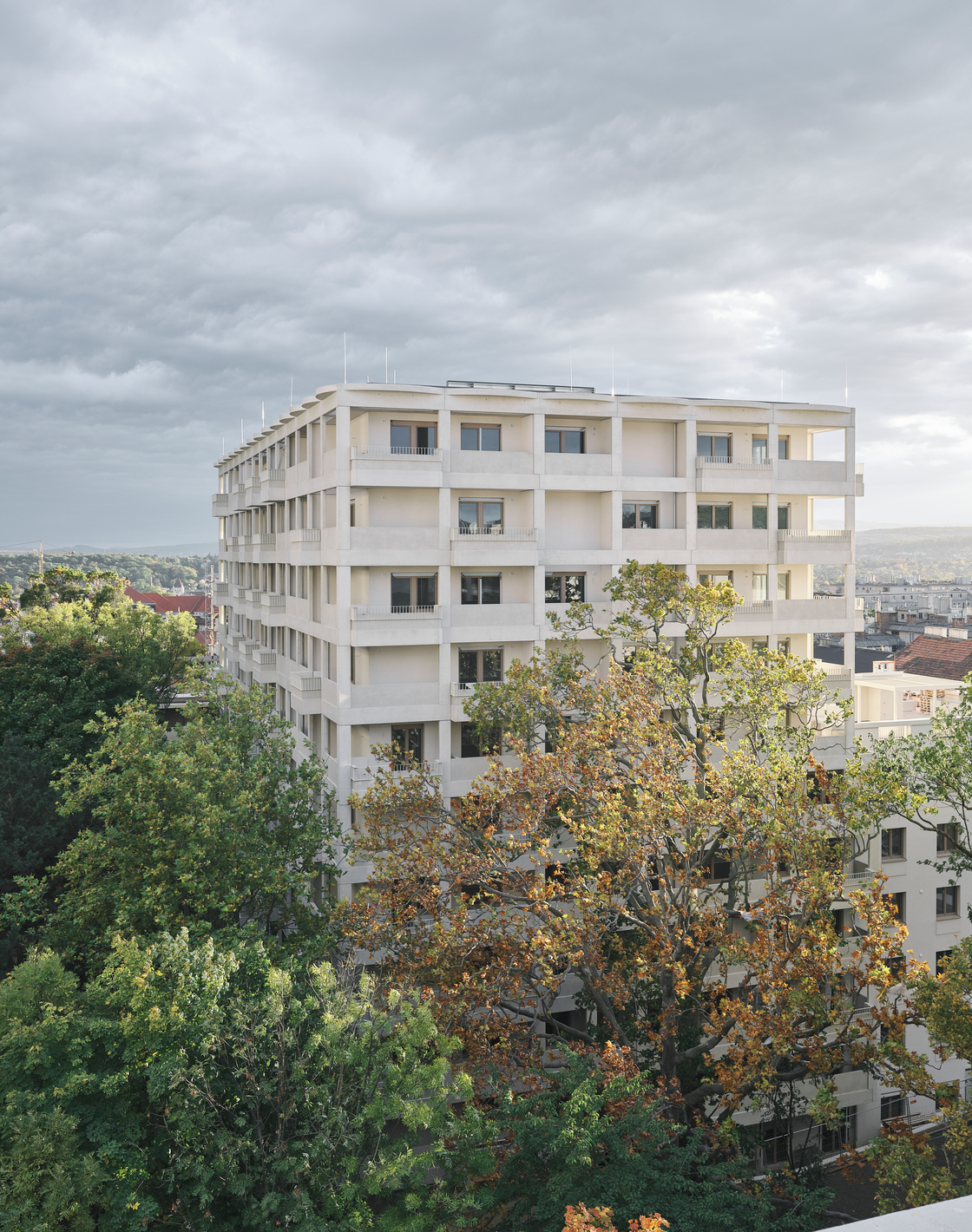 Ein Foto von David Schreyer