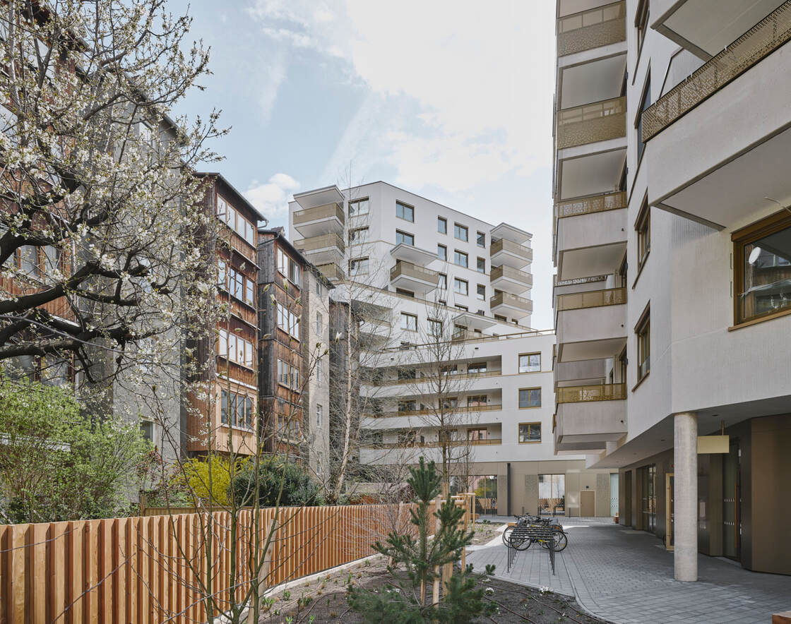 Ein Foto von David Schreyer