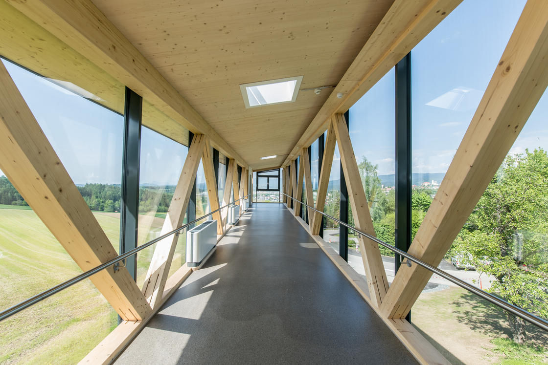 Ein Foto von Martin Assam