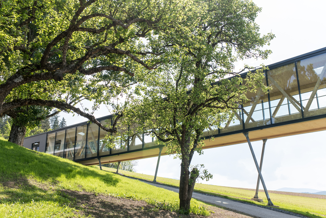 Ein Foto von Martin Assam