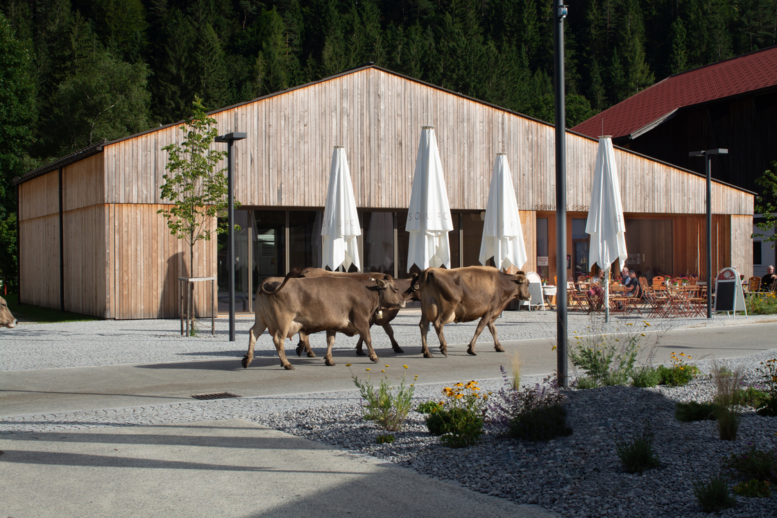 Ein Foto von Simon Schnegg