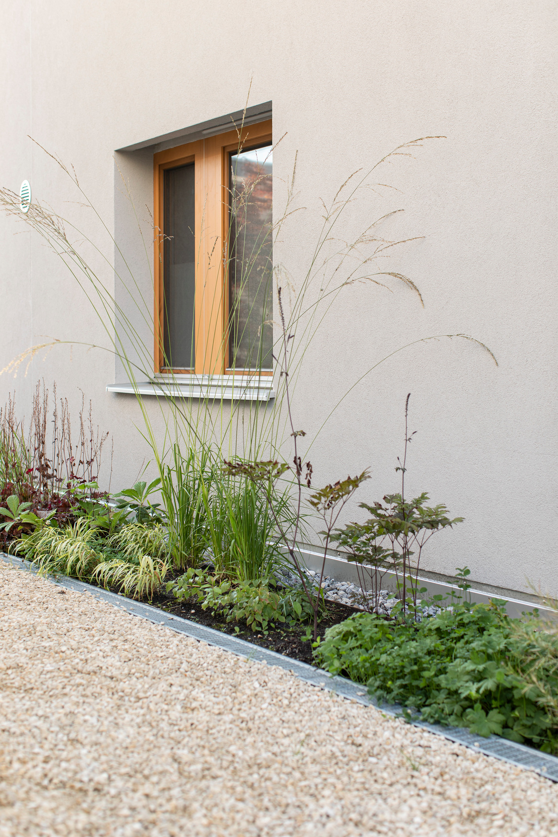 Ein Foto von Petra Rainer