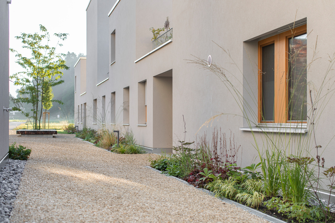 Ein Foto von Petra Rainer