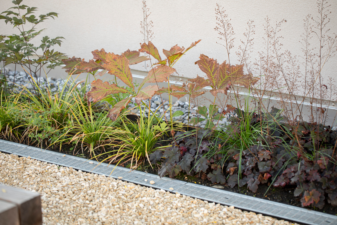 Ein Foto von Petra Rainer