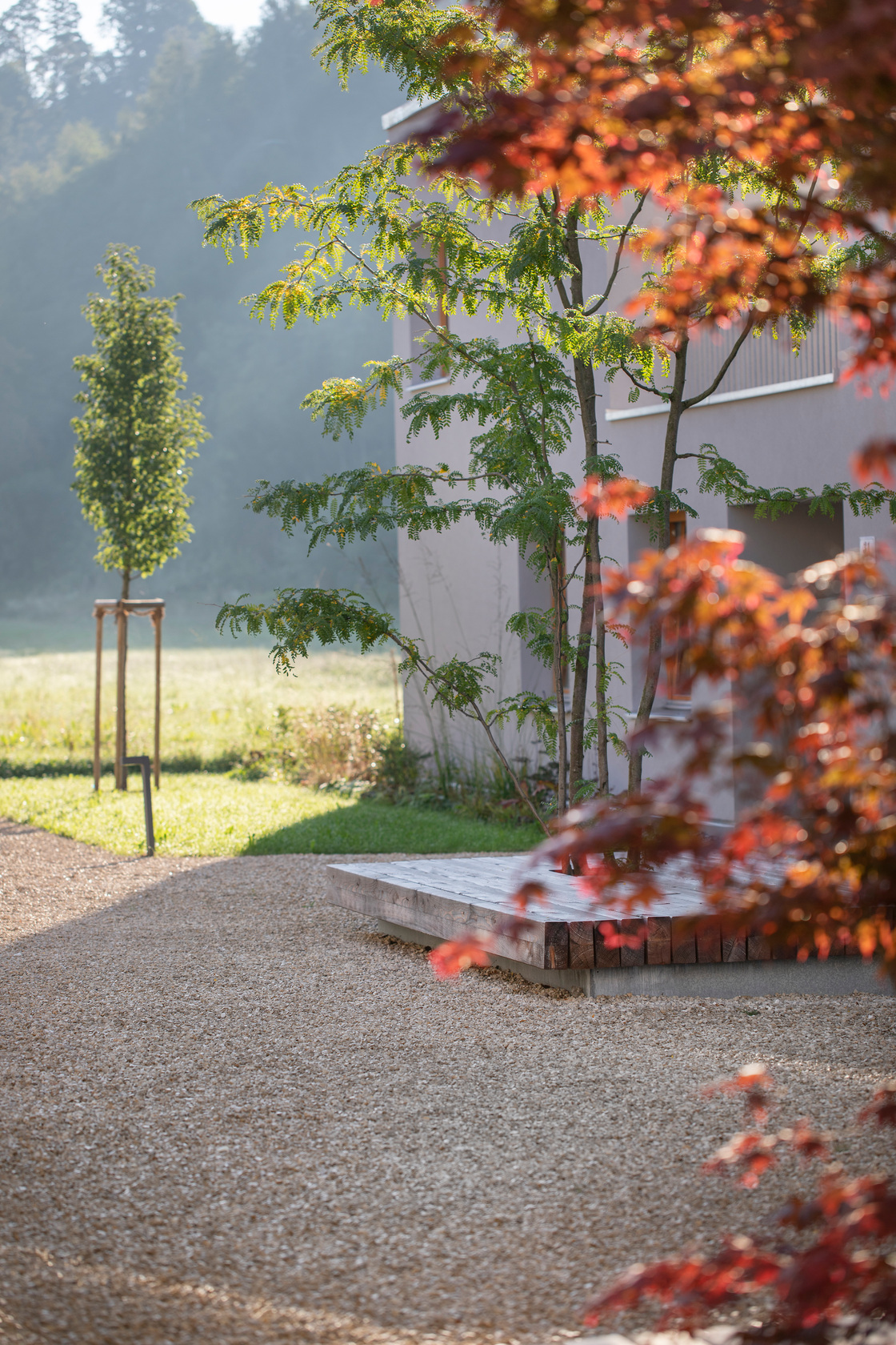 Ein Foto von Petra Rainer