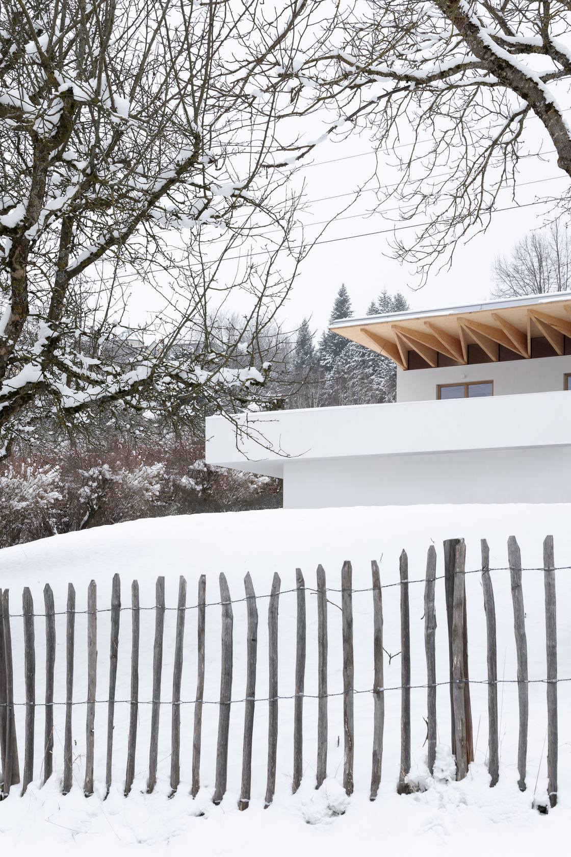 Ein Foto von Gregor Graf