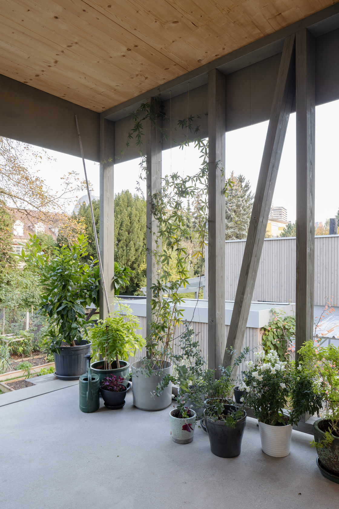 Ein Foto von Gregor Graf