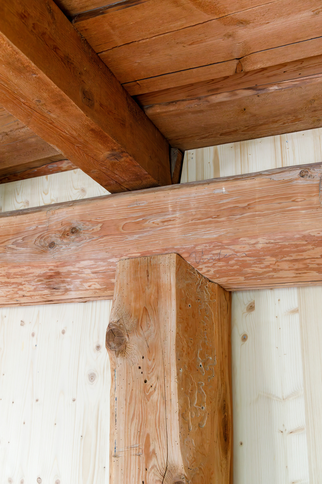 Ein Foto von Gregor Graf