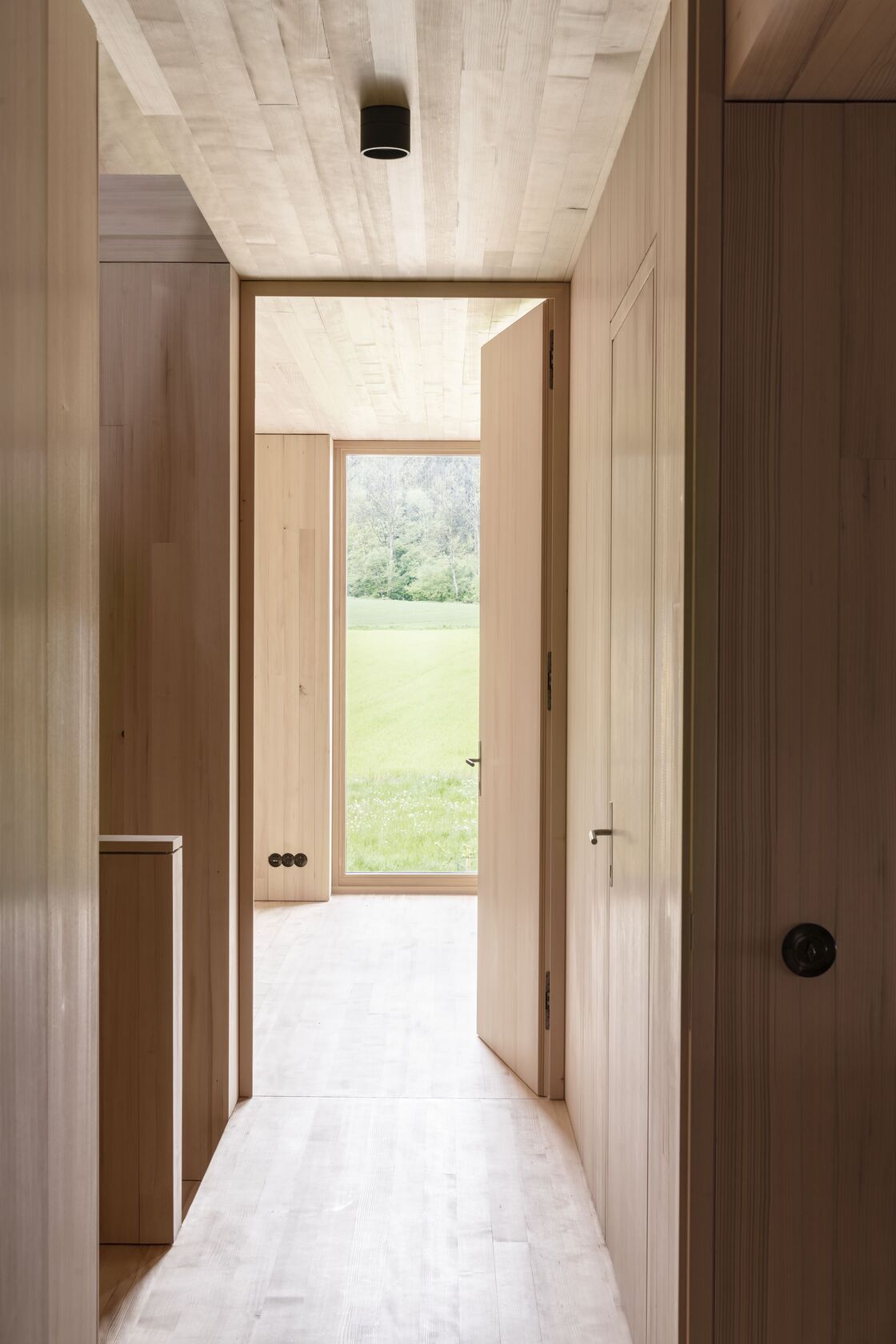 Ein Foto von Noah Santer