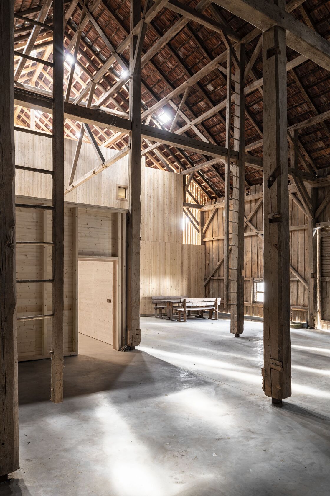 Ein Foto von Noah Santer