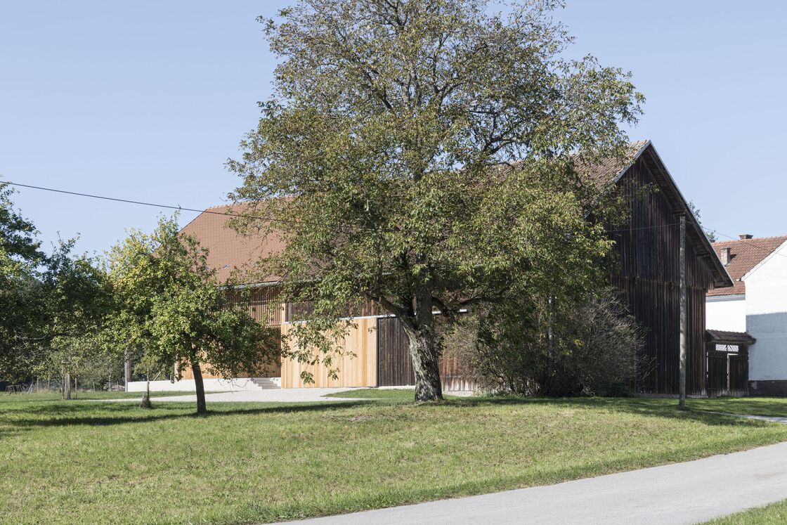 Ein Foto von Noah Santer