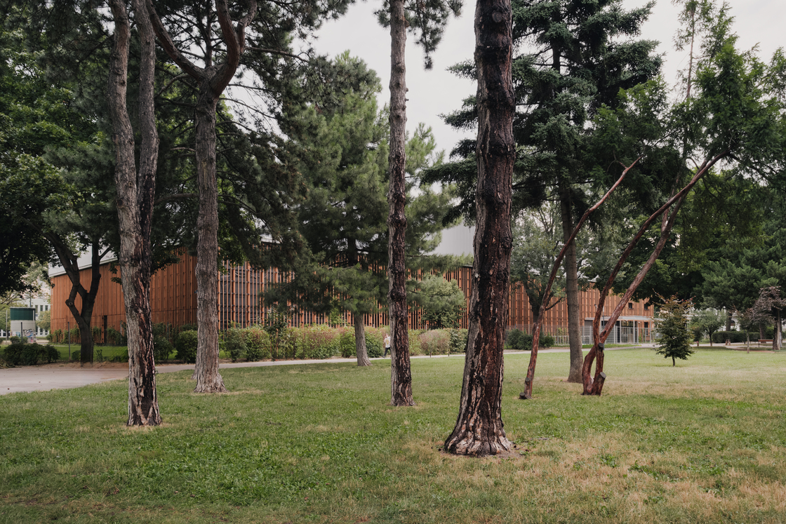 Ein Foto von Patrick Johannsen