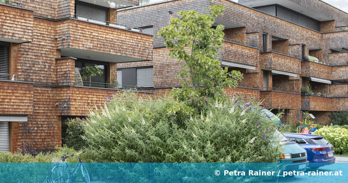 Freiraum Wohnbebauung Röthis, LandRise Röthis (A). Foto Petra Rainer