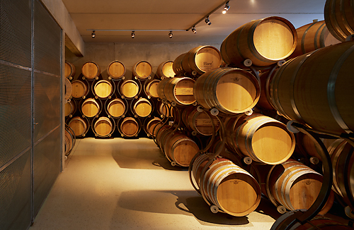 Ein Foto von Rupert Steiner