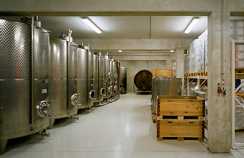 Ein Foto von Rupert Steiner